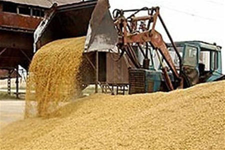 Iran to offer wheat on Mercantile Exchange, potatoes may come next