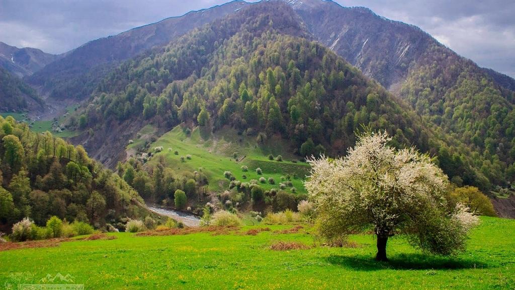 Azerbaijan’s national parks cause great interest among tourists [PHOTO]