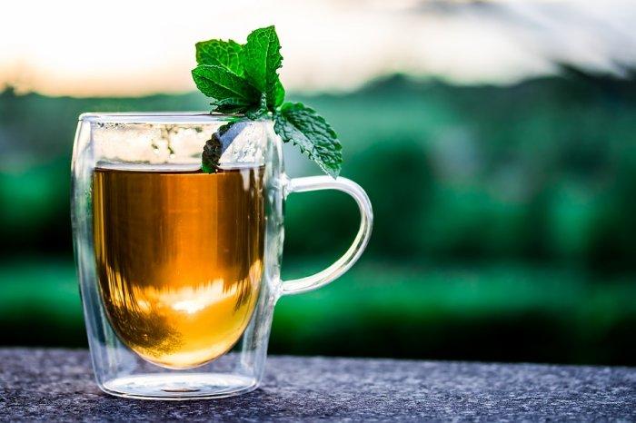 Main export destinations for Iranian tea revealed