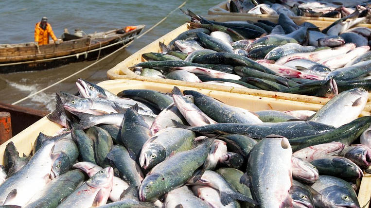 Malaysian company intends to create fish cluster in Uzbekistan