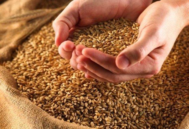 Tajikistan produces over 1.2 million tons of grain
