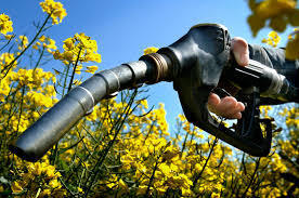Biodiesel production to be launched in Azerbaijan