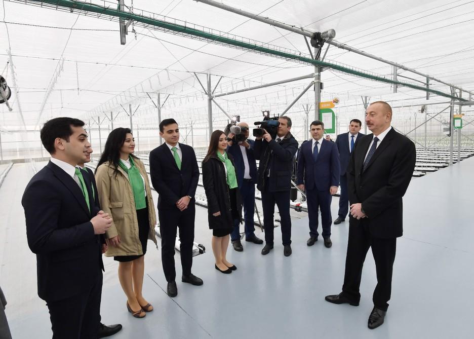 President Ilham Aliyev attends inauguration of Research Institute of Vegetable Growing [PHOTO]