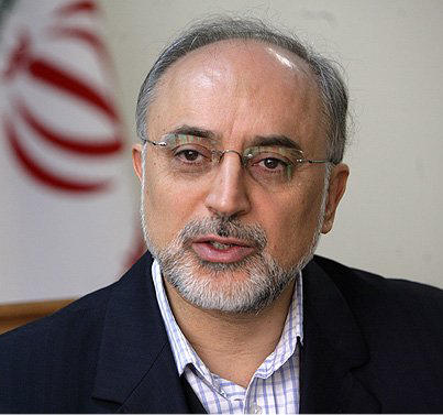Salehi: Iran ready to build light-water reactors for its neighbours