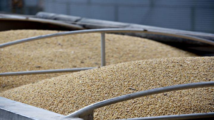 Kazakhstan, US to construct plant for production of non-GMO soybean seeds