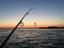 Over 1,600 tons of fish caught in Azerbaijan in 2018