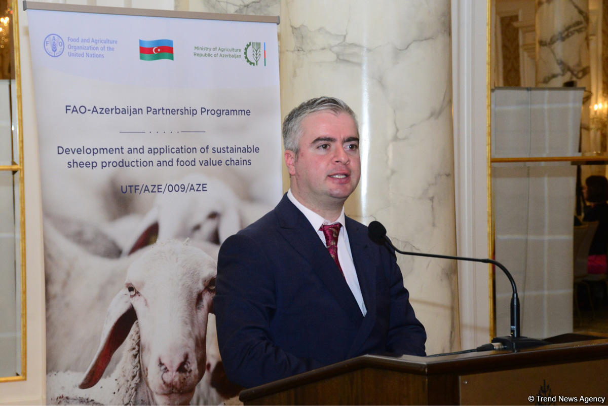 Azerbaijan expands youth employment in agriculture