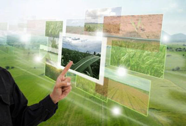 Azerbaijani farmers to receive subsidies through Electronic Agricultural System