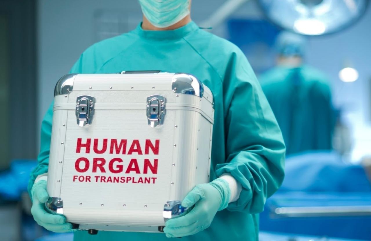 Change in legislation on organ donation in Azerbaijan