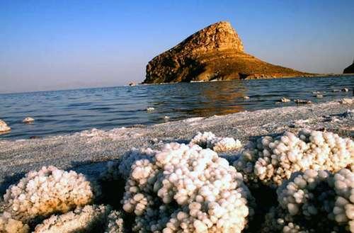 Conditions created for cultivation of artemia in Iran’s Lake Urmia