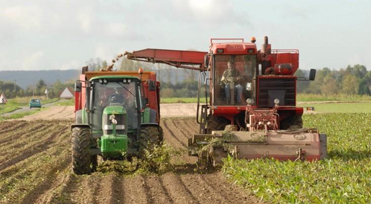 Azerbaijan promotes agriculture and food industry