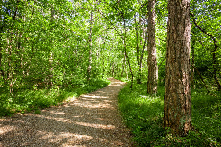 Azerbaijan creating hiking trails in national parks [PHOTO]