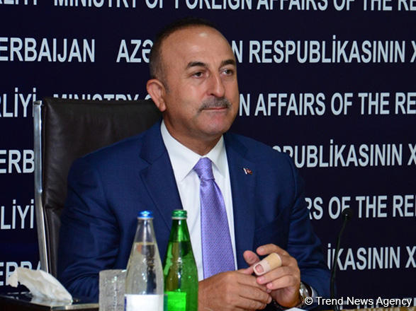 Cavusoglu criticizes Macron’s decision regarding so-called "Armenian genocide"