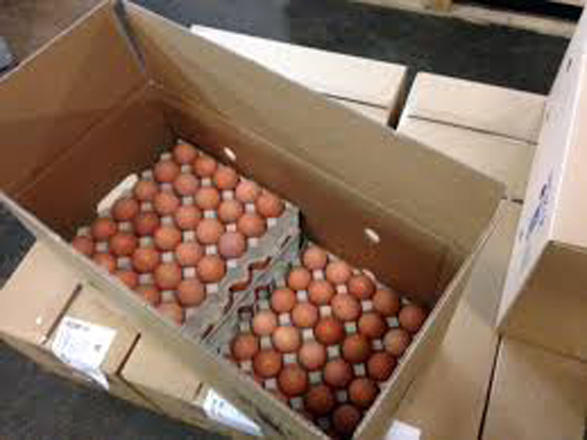 Azerbaijani poultry factory starts exporting eggs to Qatar