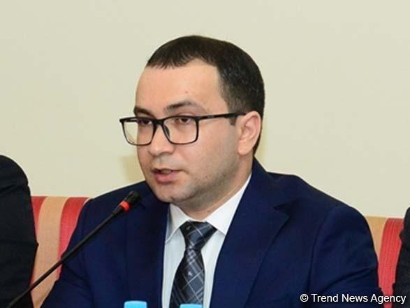 Top official: Radical groups oppose ideology of Azerbaijanism