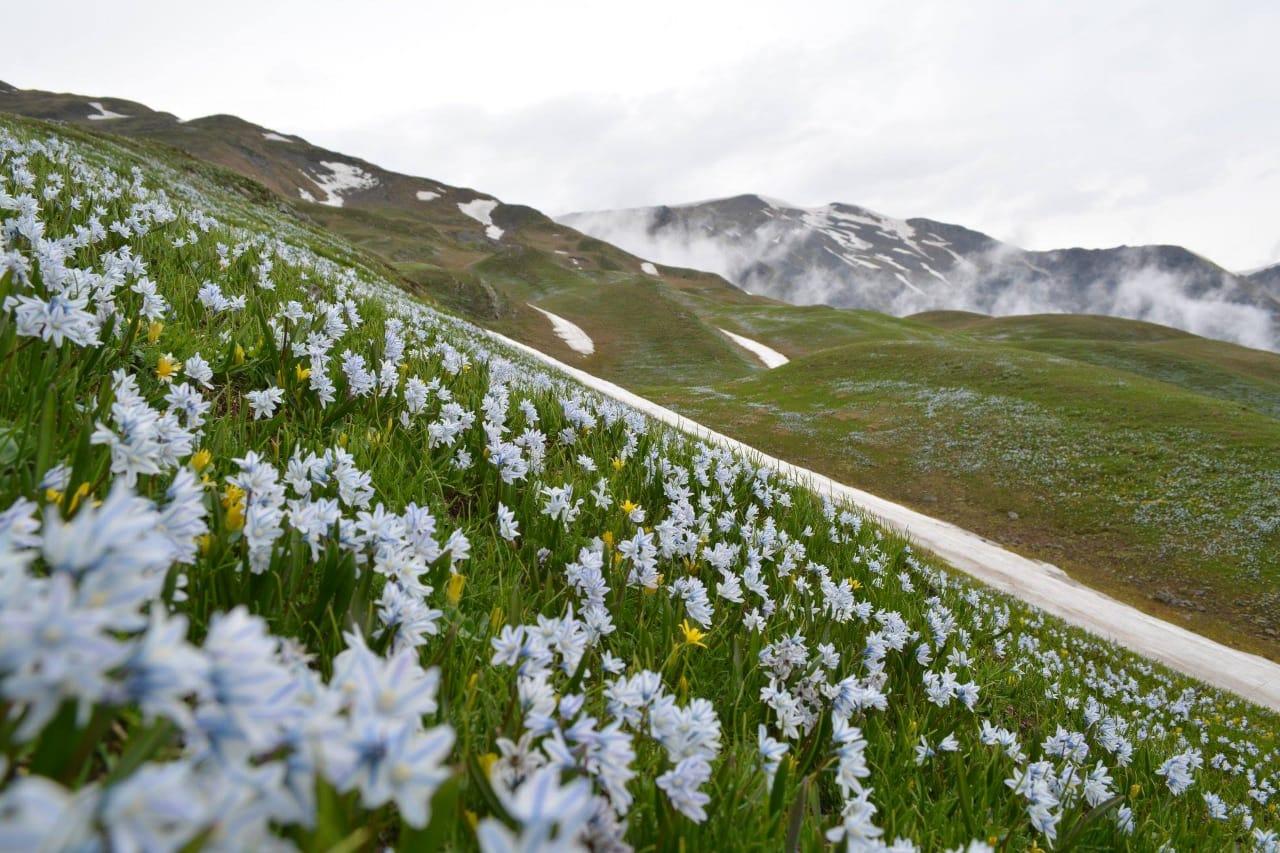 Free entrance days in national parks [PHOTO]