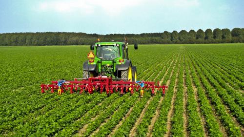 Netherlands to help Azerbaijan improve agriculture