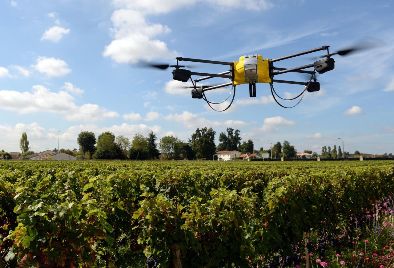 Azerbaijan purchases Hong Kong drones for agriculture