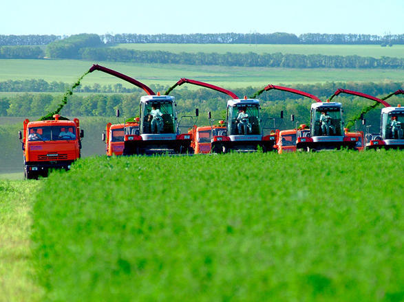 Agricultural production grows