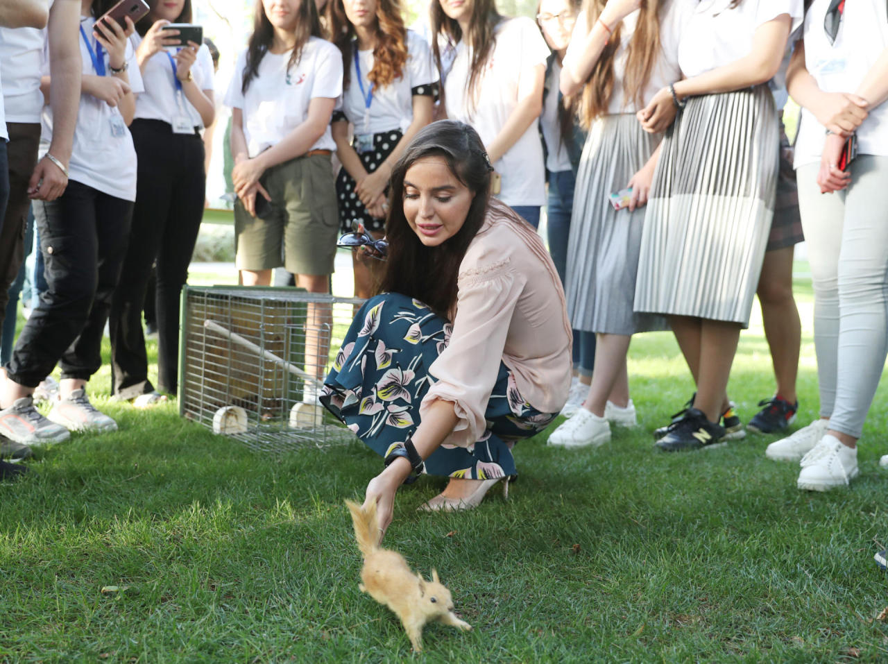 Squirrels released into green area [PHOTO]