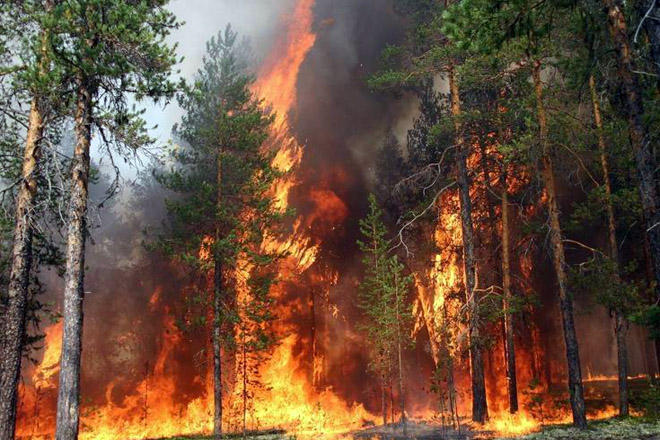 Wildfire causes thousands to be placed on evacuation alert in Canada