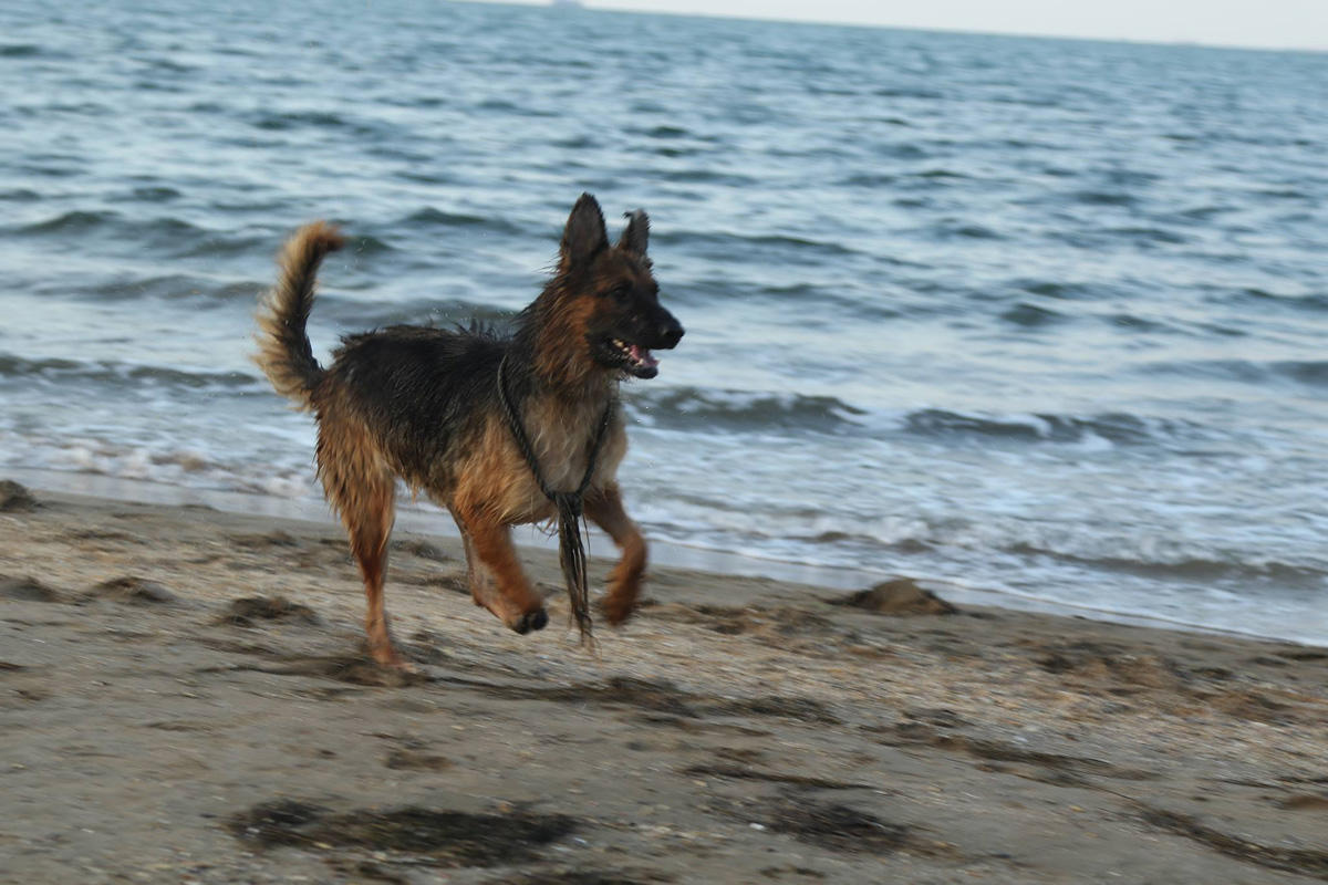 Slider Image 1