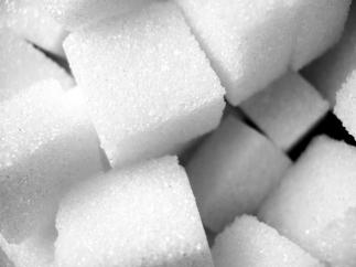 Another sugar plant to be built in Kazakhstan