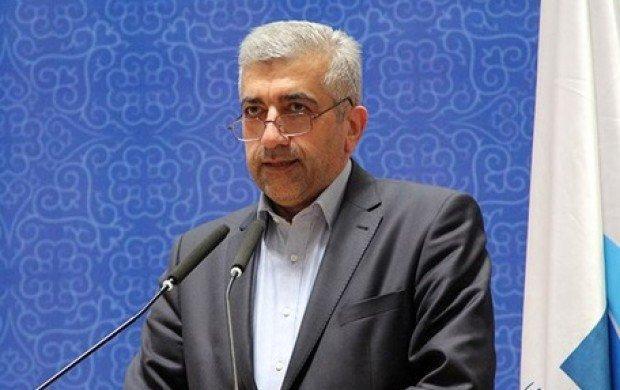 Iran's energy minister: We had 40 years to quit oil dependency