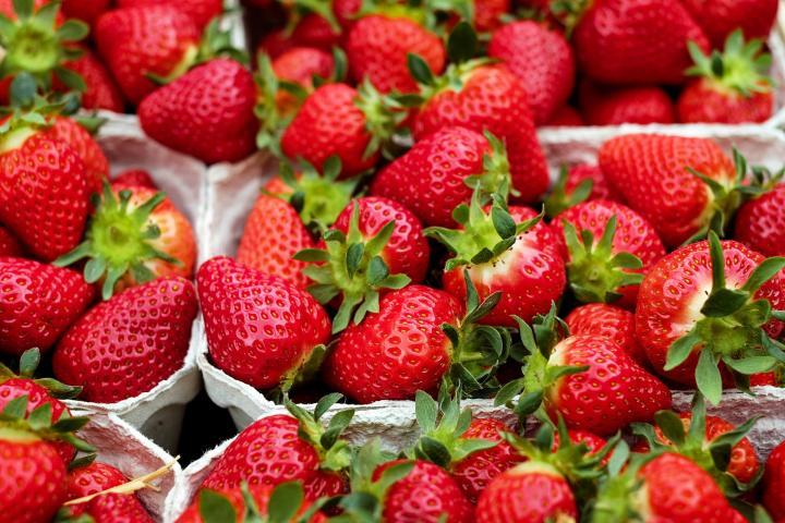 Country cultivates two foreign varieties of strawberries