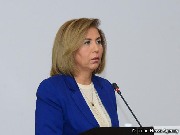 MP: OSCE PA final declaration secures Azerbaijan’s interests