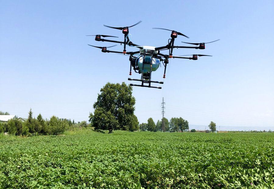 Drone for killing pests in cotton field used for first time [PHOTO]