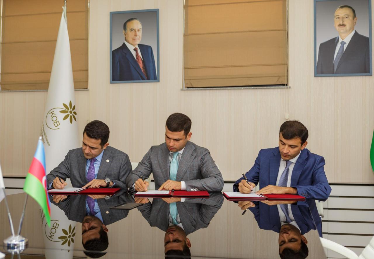 Baku to host General Assembly of Islamic Countries Youth Entrepreneurship Network [PHOTO]