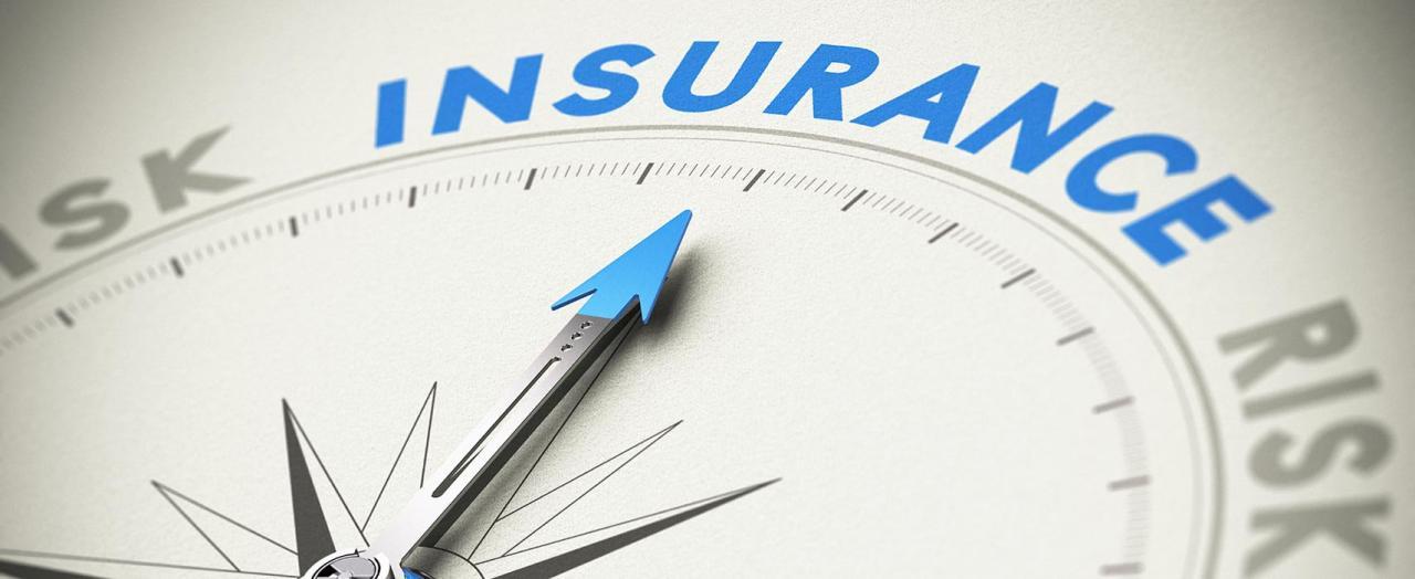 Insurance market grows markedly