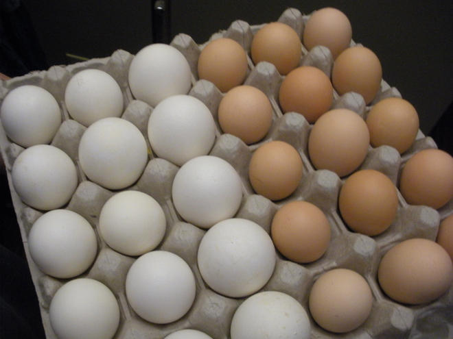 Iran exports 150 tons of eggs to Iraq daily