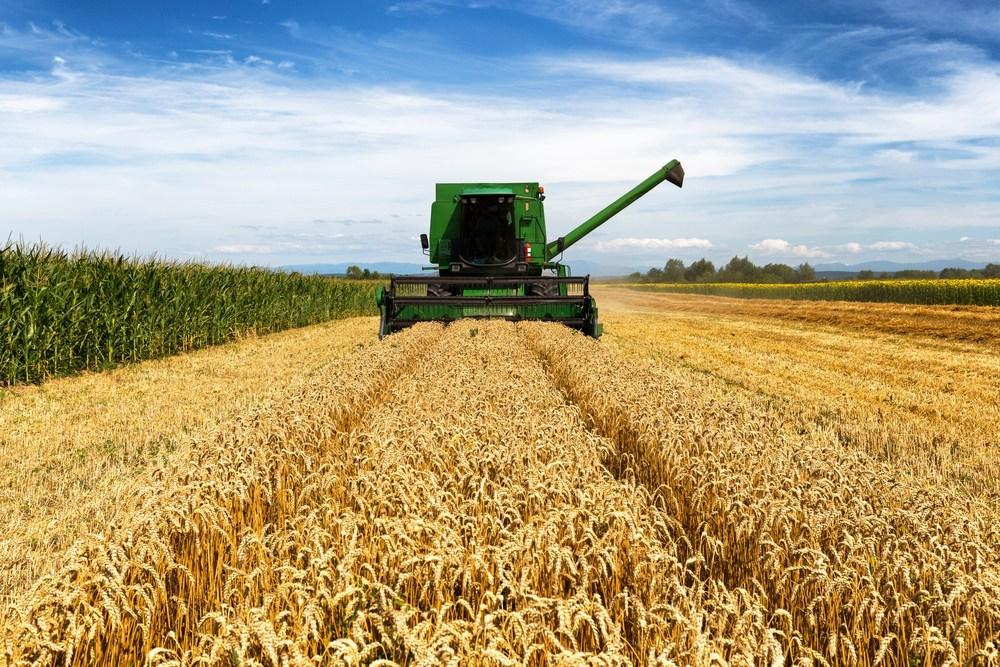 Grain harvesting nears completion