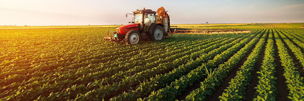 Cereals production grows dramatically