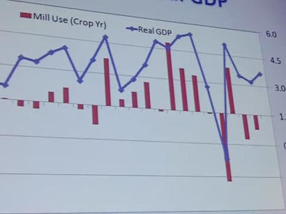 Ukraine's GDP grows 4.6 pct in second quarter