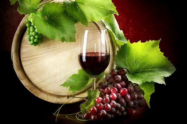 Holding wine exhibitions offered in Azerbaijan