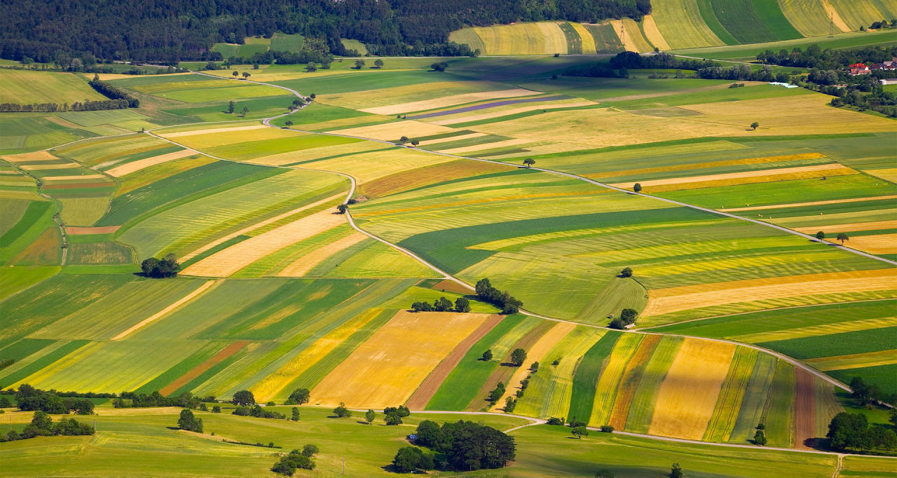 Dutch companies interested in Azerbaijan's agricultural sector