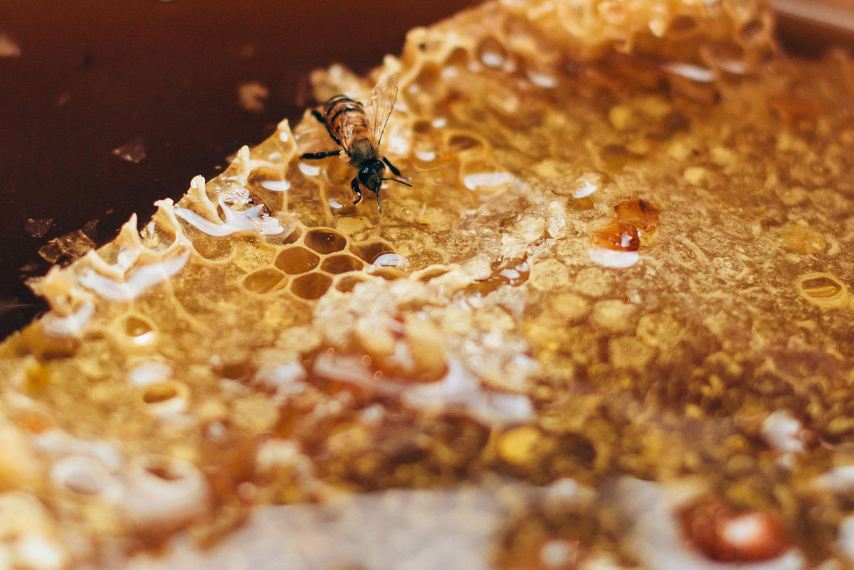 Beekeepers selected for participation in honey fair in Azerbaijan