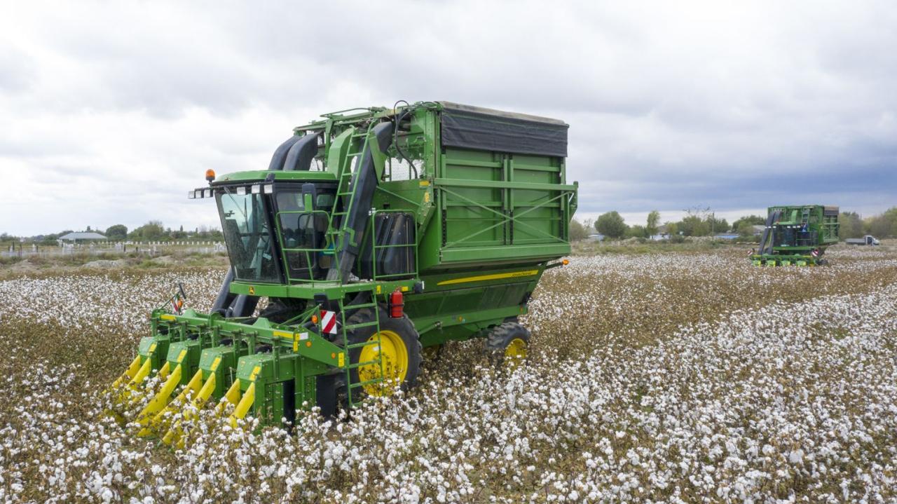 Country expects high cotton crop