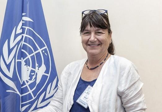 UN special rapporteur to visit Azerbaijan