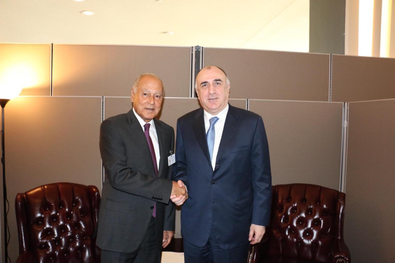 Azerbaijani FM meets Secretary General of Arab States League