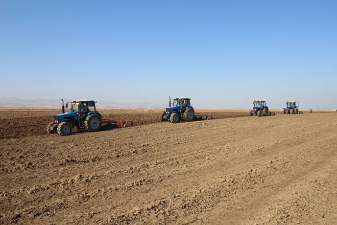 70.6 pct of Autumn sown area plowed in Azerbaijan