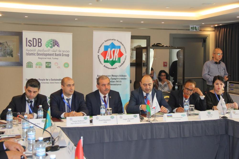 Azerbaijan set to become second hazelnut producer in world
