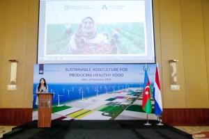 Azerbaijan, Netherlands eye boosting agricultural cooperation [PHOTO] - Gallery Image