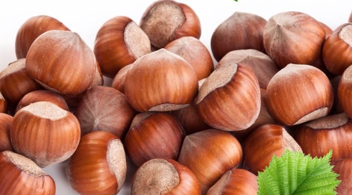 Main importers of Azerbaijani hazelnuts revealed