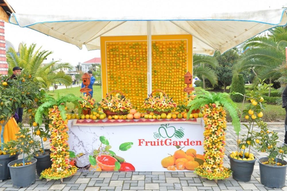 Lankaran turns into fruit lovers' paradise [PHOTO] - Gallery Image