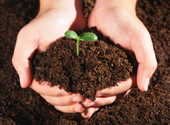 Azerbaijan launches joint venture on organic fertilizer production