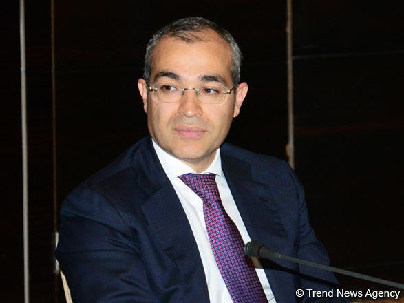 Minister: Azerbaijan supports its investors